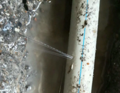 化德测漏水哪家好