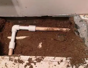 化德测漏水哪家好