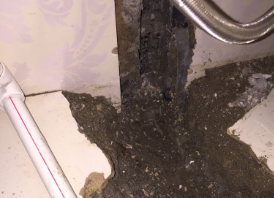 化德卫生间测漏水哪家好