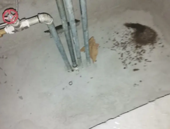 化德卫生间测漏水价格明细